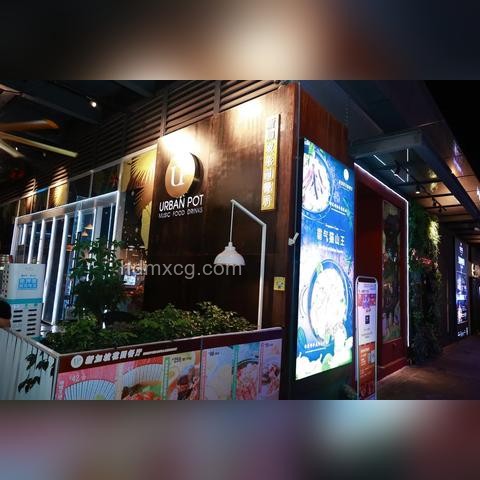 雨林探险直播热兴起，UP主生存挑战成新趋势